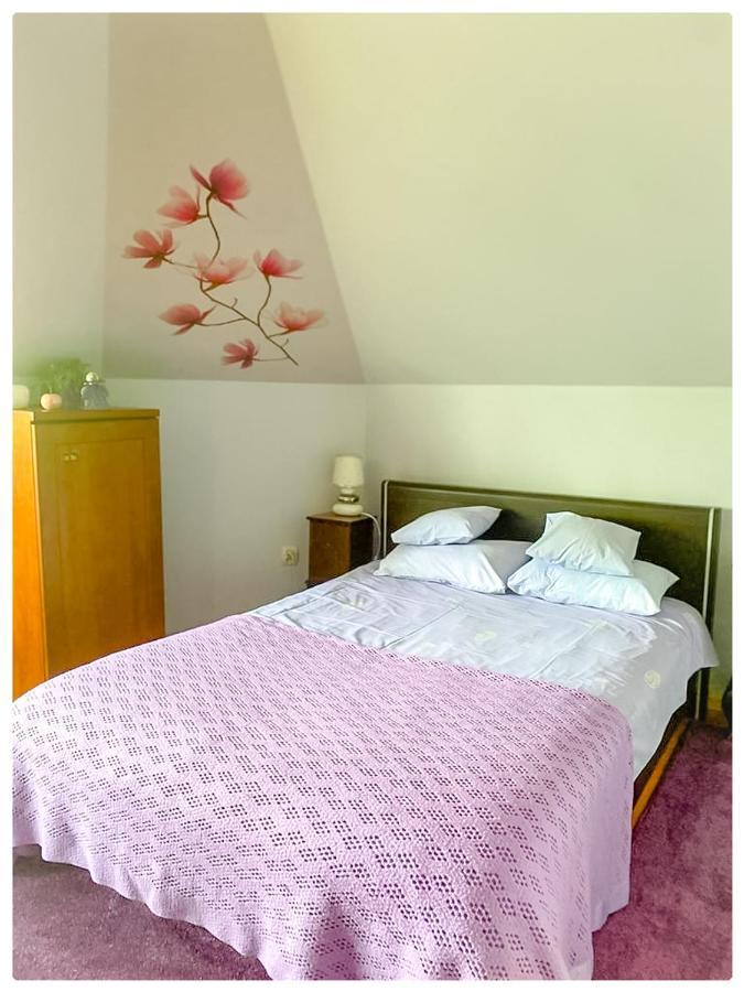 Kaktusik Hotel Аугустов Екстериор снимка