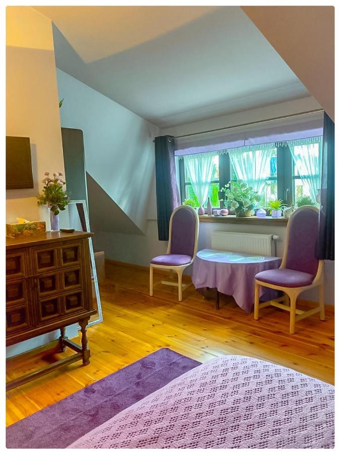 Kaktusik Hotel Аугустов Екстериор снимка
